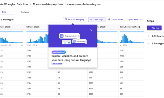 Use natural language to explore and prepare data with a